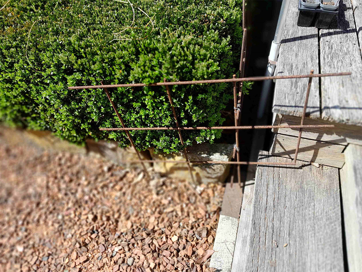 stopping wombats getting under house