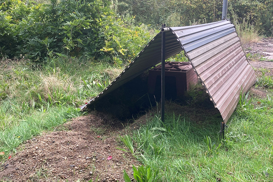 how to attract a wombat to your property how to encourage a wombat onto your property