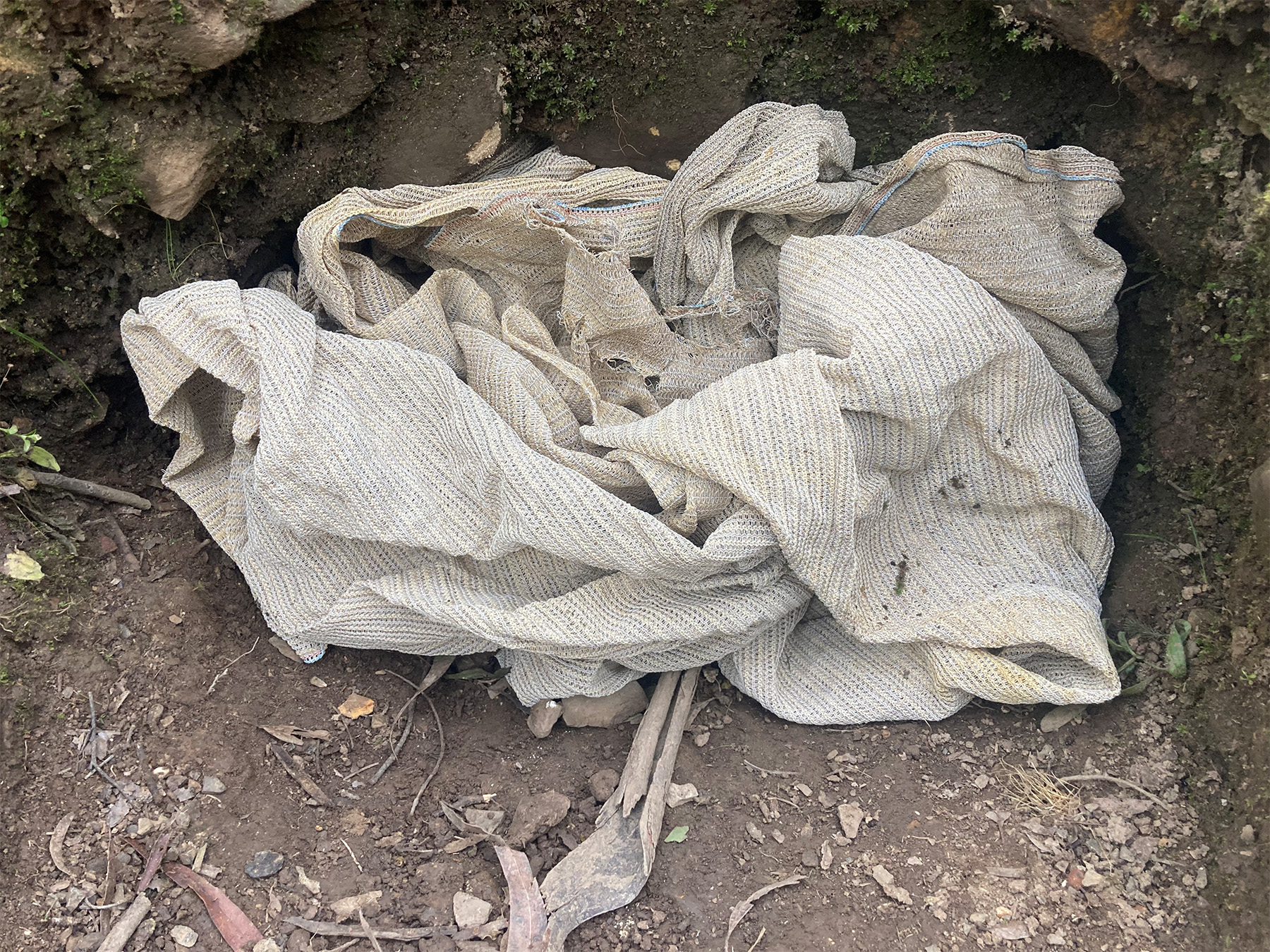 shade cloth firmly tucked in the mouth of the burrow