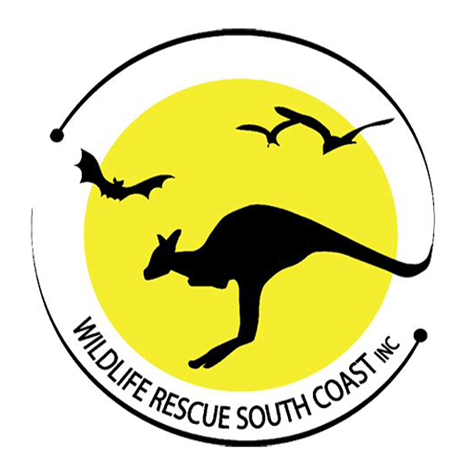 wildlife rescue south coast